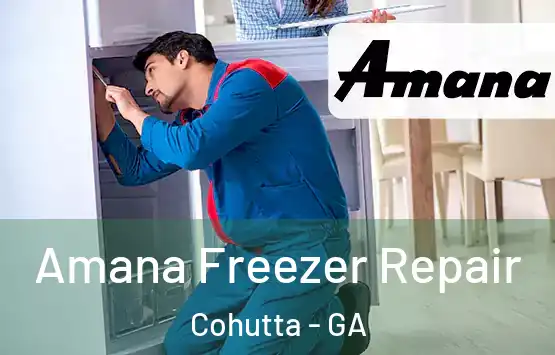  Amana Freezer Repair Cohutta - GA