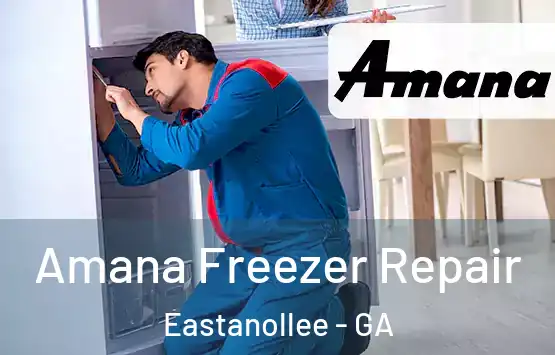  Amana Freezer Repair Eastanollee - GA