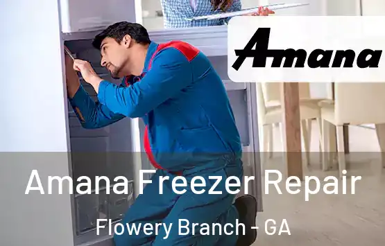  Amana Freezer Repair Flowery Branch - GA