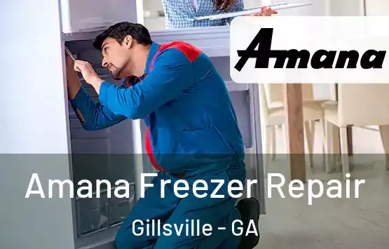  Amana Freezer Repair Gillsville - GA