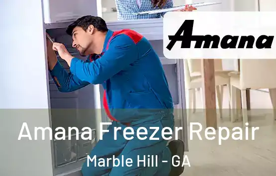  Amana Freezer Repair Marble Hill - GA