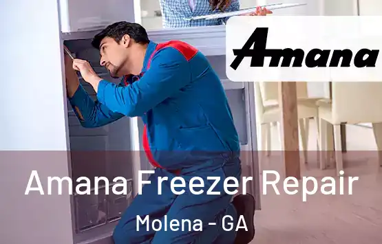  Amana Freezer Repair Molena - GA