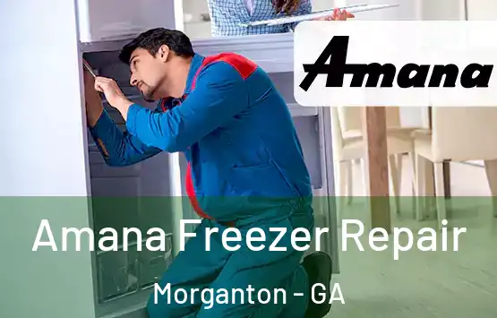  Amana Freezer Repair Morganton - GA