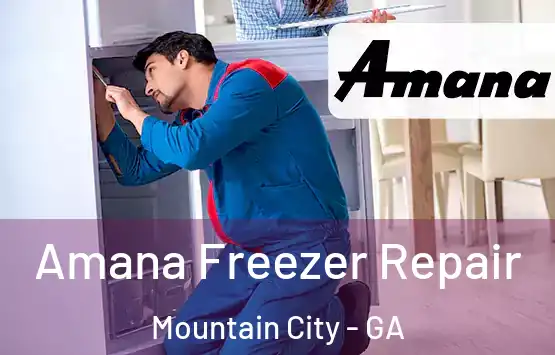  Amana Freezer Repair Mountain City - GA