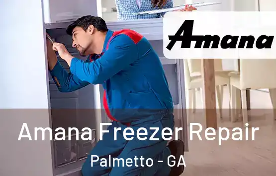  Amana Freezer Repair Palmetto - GA