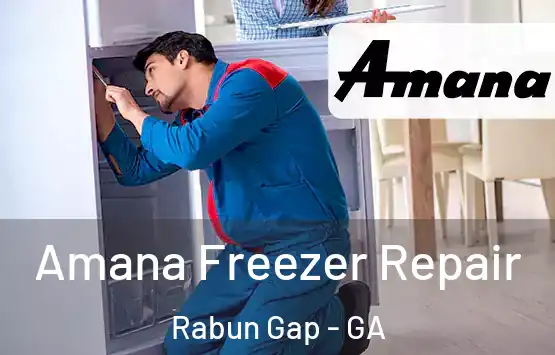  Amana Freezer Repair Rabun Gap - GA