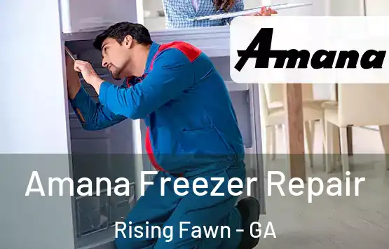  Amana Freezer Repair Rising Fawn - GA