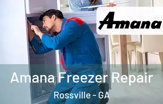  Amana Freezer Repair Rossville - GA