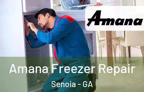  Amana Freezer Repair Senoia - GA
