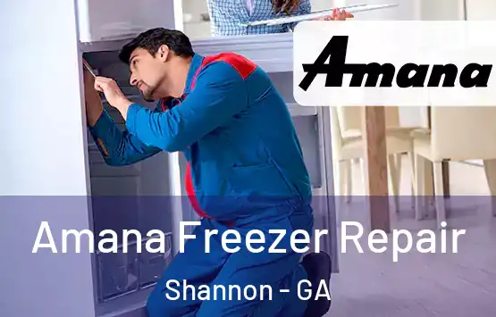  Amana Freezer Repair Shannon - GA