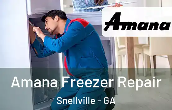 Amana Freezer Repair Snellville - GA