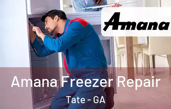  Amana Freezer Repair Tate - GA