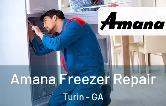  Amana Freezer Repair Turin - GA