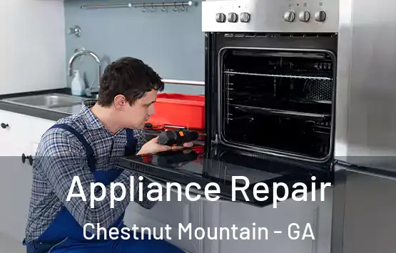  Appliance Repair Chestnut Mountain - GA