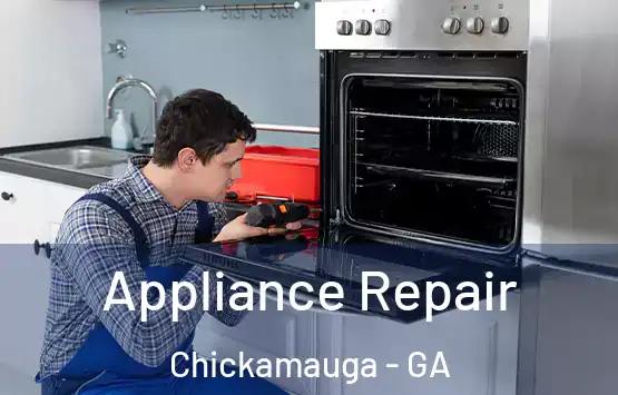  Appliance Repair Chickamauga - GA