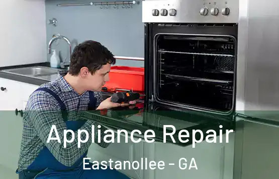  Appliance Repair Eastanollee - GA