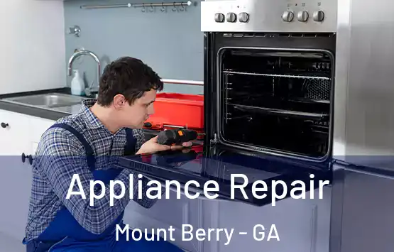  Appliance Repair Mount Berry - GA
