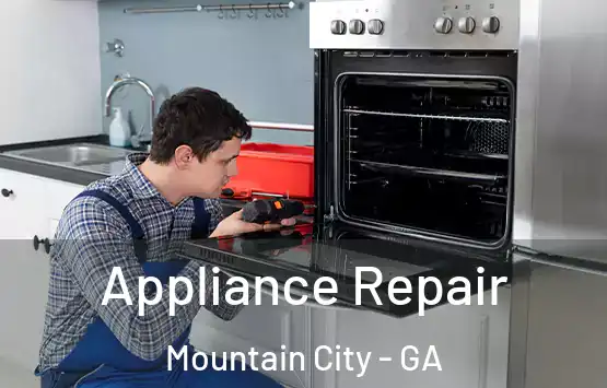 Appliance Repair Mountain City - GA