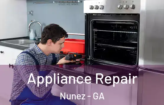 Appliance Repair Nunez - GA