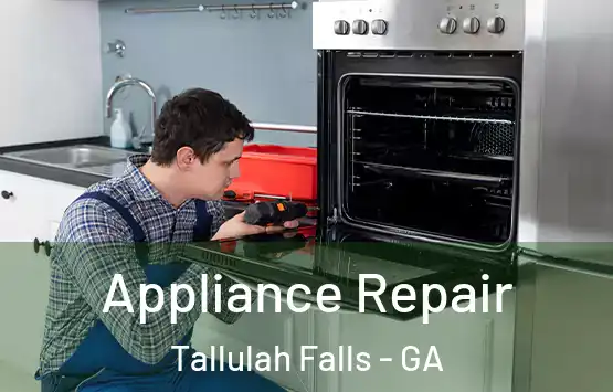  Appliance Repair Tallulah Falls - GA