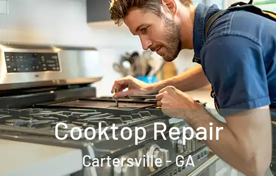  Cooktop Repair Cartersville - GA