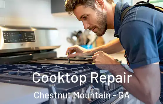  Cooktop Repair Chestnut Mountain - GA