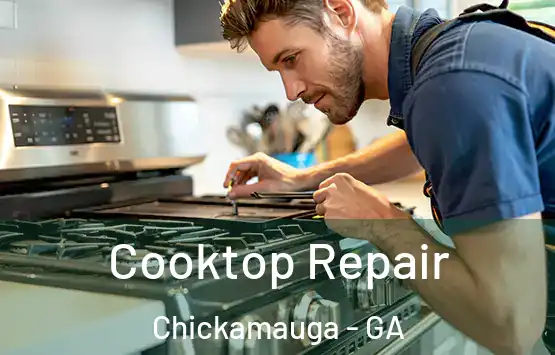  Cooktop Repair Chickamauga - GA