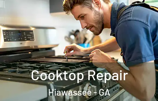  Cooktop Repair Hiawassee - GA