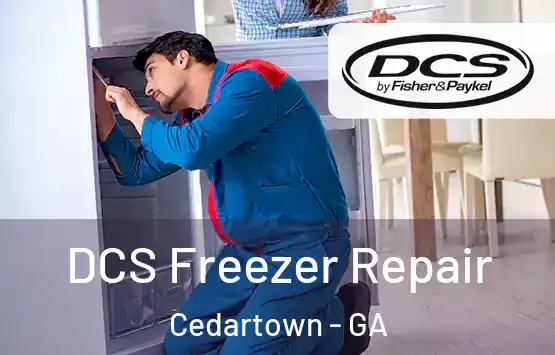  DCS Freezer Repair Cedartown - GA