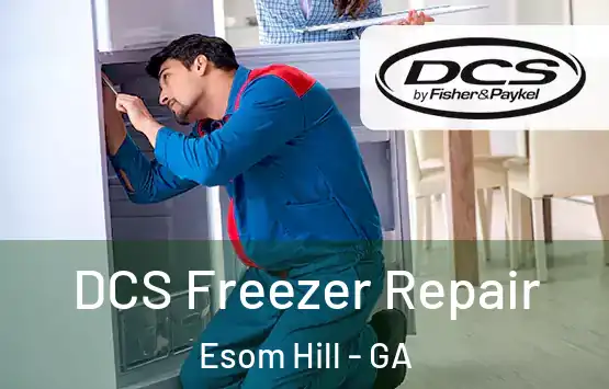  DCS Freezer Repair Esom Hill - GA