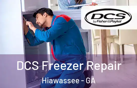  DCS Freezer Repair Hiawassee - GA