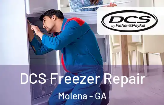  DCS Freezer Repair Molena - GA
