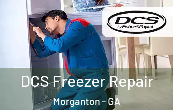  DCS Freezer Repair Morganton - GA