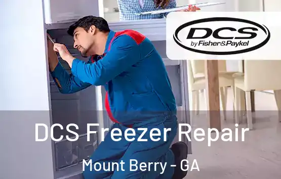 DCS Freezer Repair Mount Berry - GA