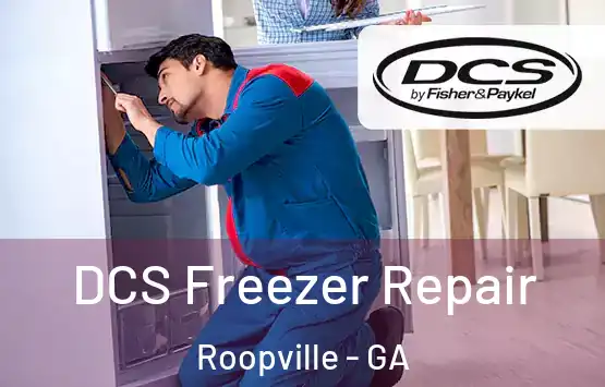  DCS Freezer Repair Roopville - GA