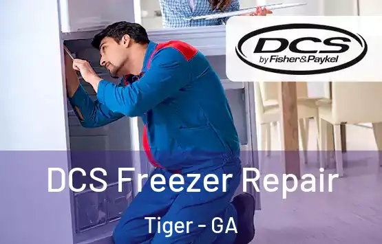  DCS Freezer Repair Tiger - GA