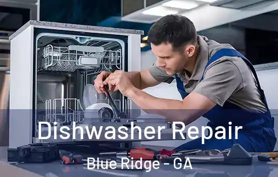  Dishwasher Repair Blue Ridge - GA
