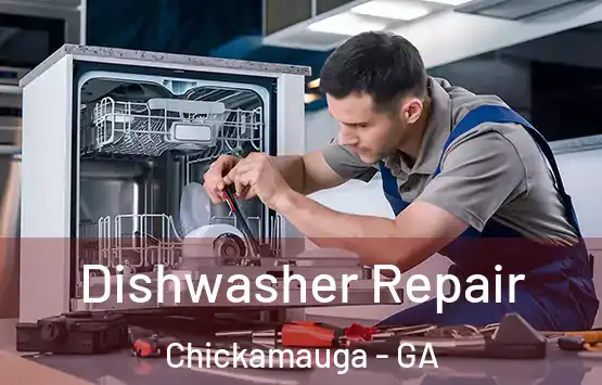  Dishwasher Repair Chickamauga - GA