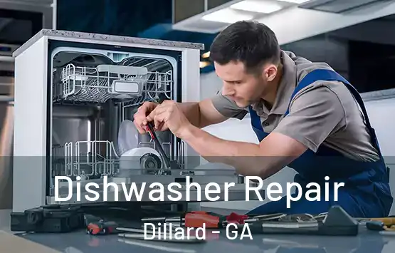  Dishwasher Repair Dillard - GA