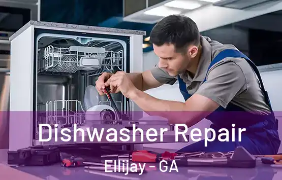  Dishwasher Repair Ellijay - GA
