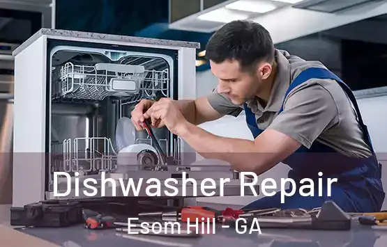  Dishwasher Repair Esom Hill - GA