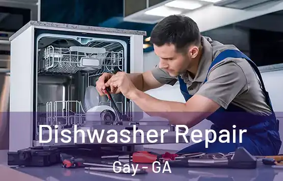  Dishwasher Repair Gay - GA