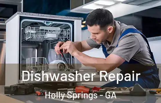  Dishwasher Repair Holly Springs - GA