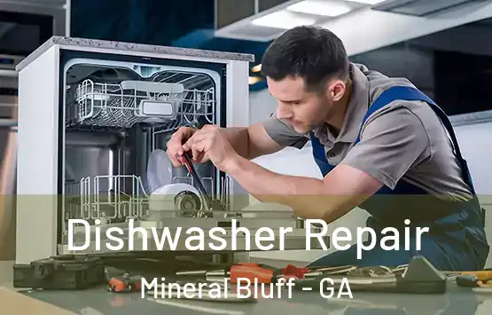  Dishwasher Repair Mineral Bluff - GA