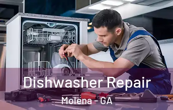  Dishwasher Repair Molena - GA