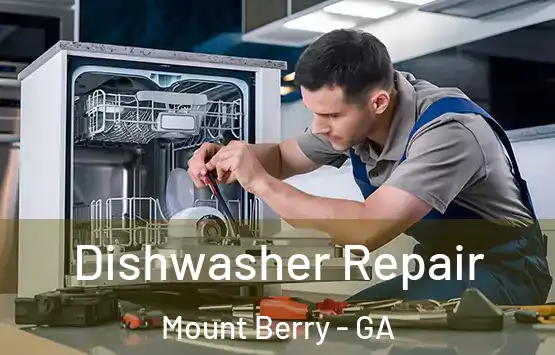  Dishwasher Repair Mount Berry - GA