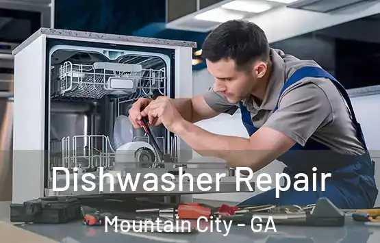  Dishwasher Repair Mountain City - GA