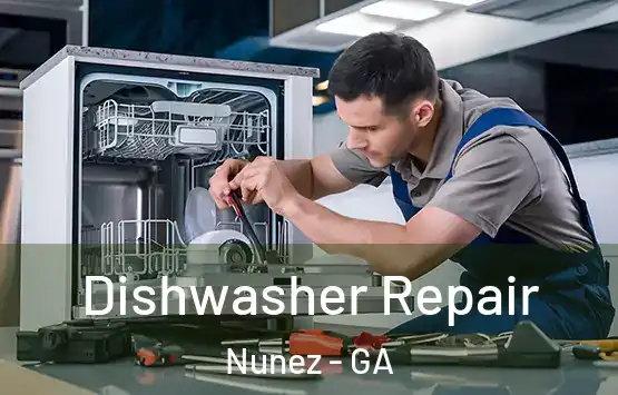  Dishwasher Repair Nunez - GA