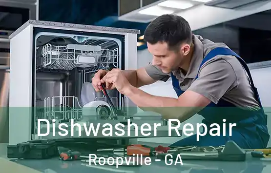  Dishwasher Repair Roopville - GA