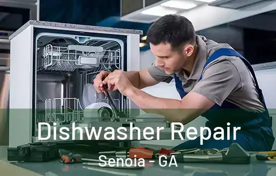  Dishwasher Repair Senoia - GA